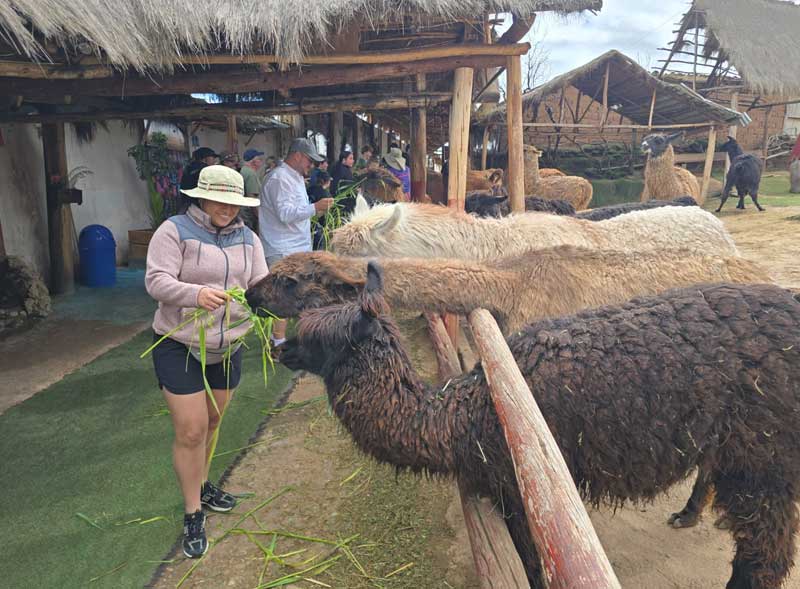 Cusco