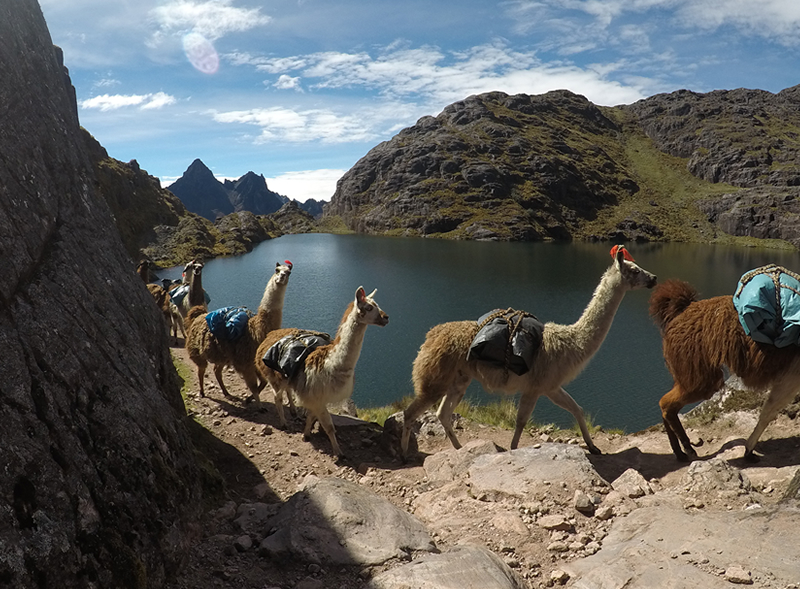 Lares Trek